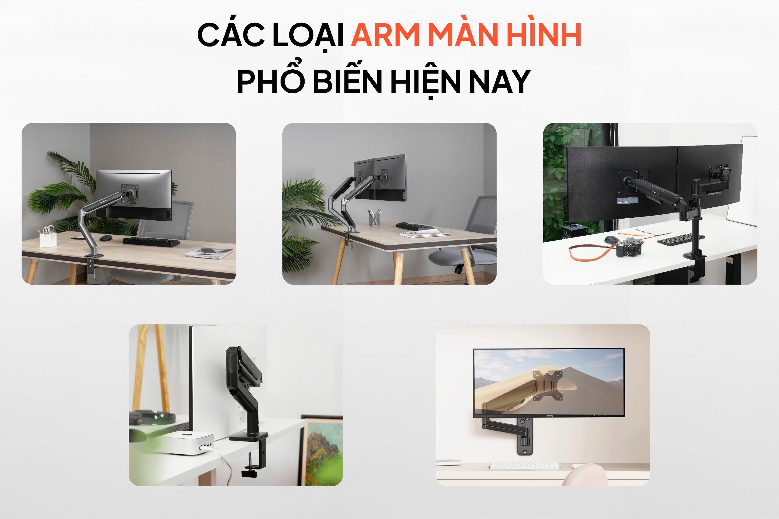 các loại arm màn hình phổ biến gồm arm đơn arm đôi arm kẹp bàn và arm dạng cột trong setup làm việc