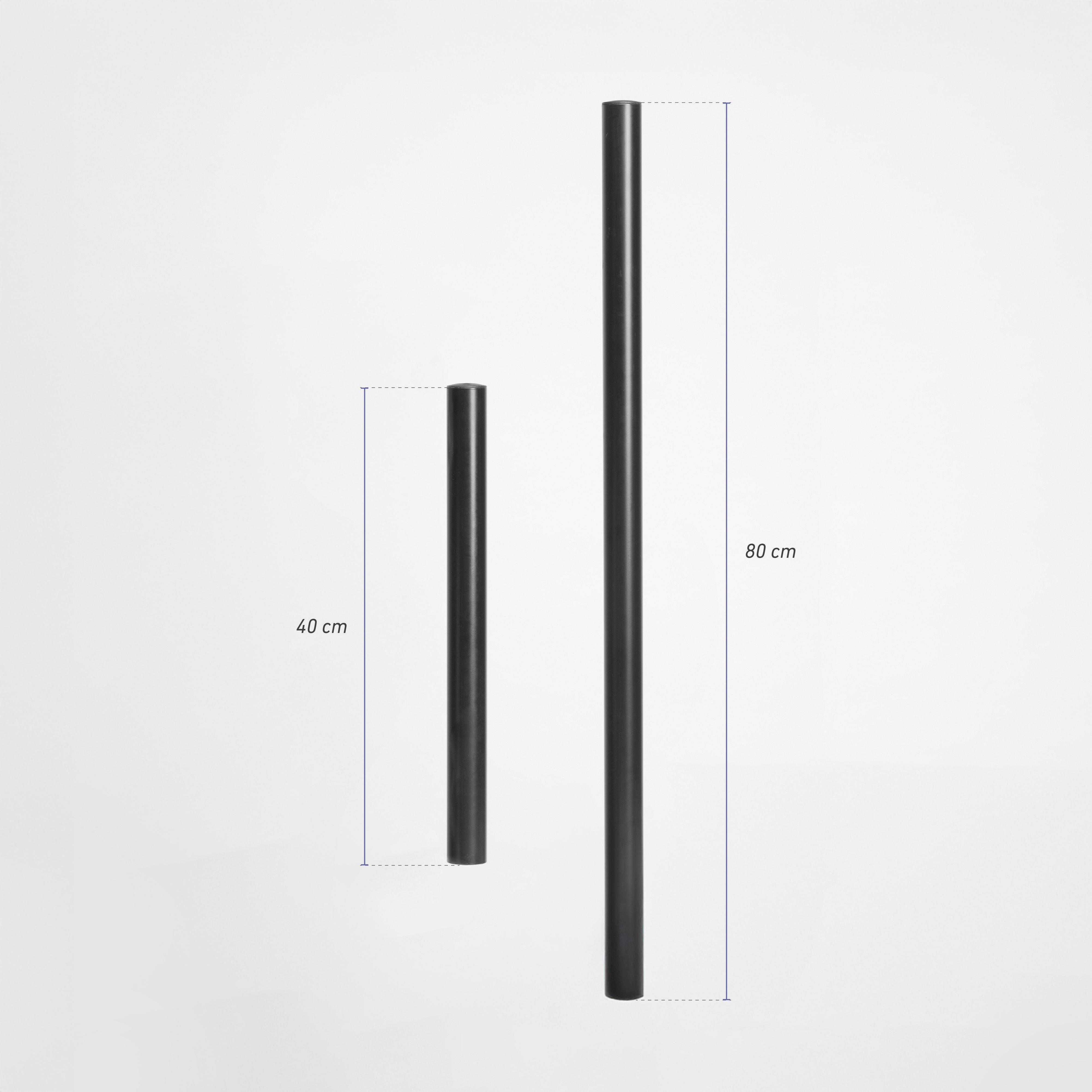 P1 Dual 2025